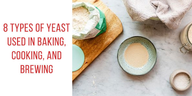 8 Types of Yeast Used in Baking, Cooking, and Brewing